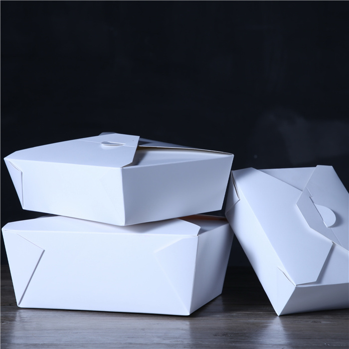 Sugarcane Bagasse Biodegradable 3 Compartment Lunch Boxes