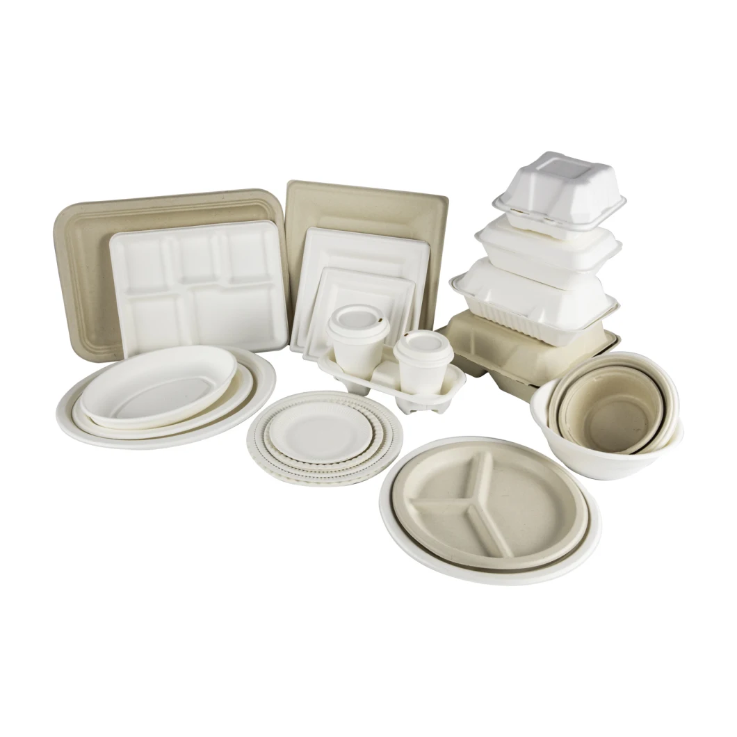 Sugarcane Tableware Bio Degradable Wheat Straw Fiber Recycle Microwavable Meal to Go Storage