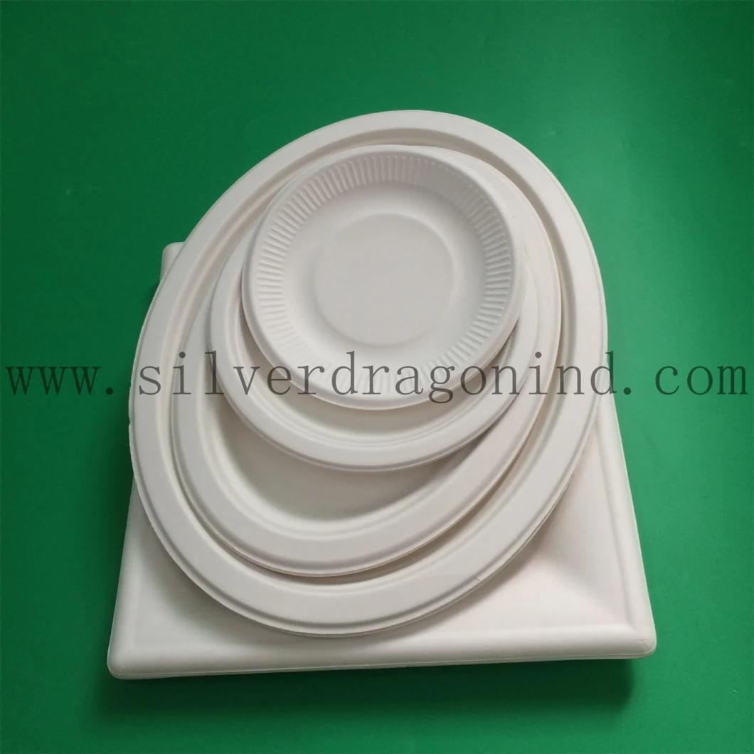 Compostable Sugarcane Pulp Paper Tray/Plates, Disposable Bagasse Plates