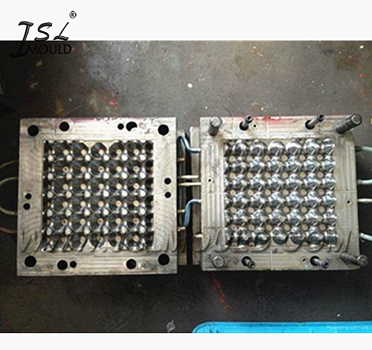 Injection Plastic Mould for Egg Tray