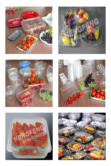 Intelligent Plastic Fruit Box/Egg Tray/Container/Bowl Thermoforming Machine