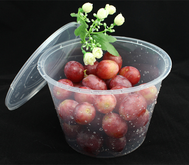 Plastic Food Container Hot Sale Plastic Food Container