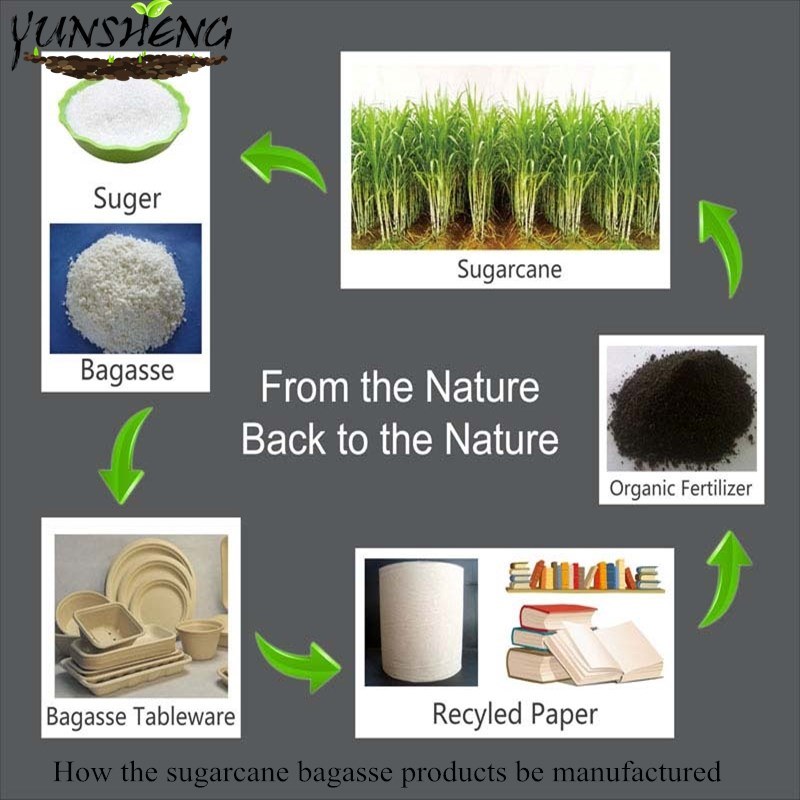 Biodegradable Disposable Sugarcane Bagasse Paper Square Plate