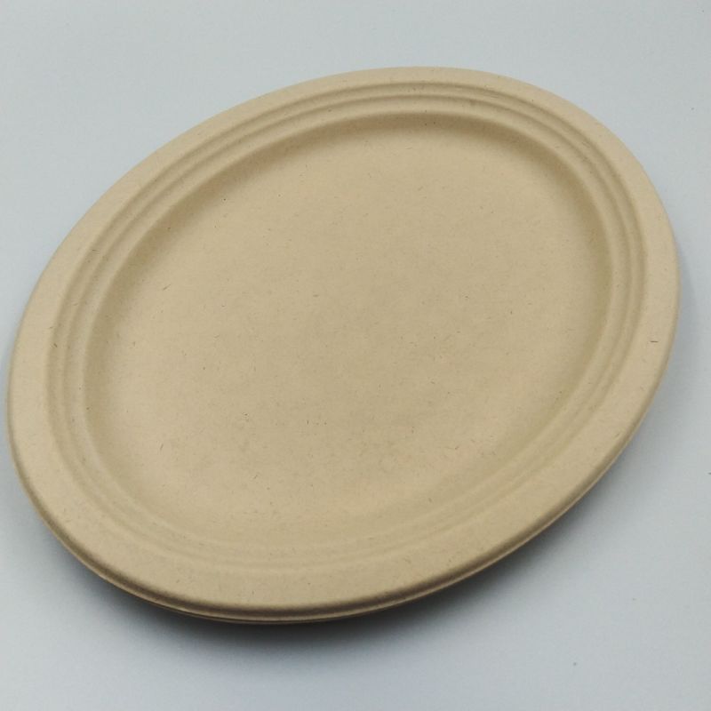 Disposable Plate Bagasse Sugarcane Throw Away Plates