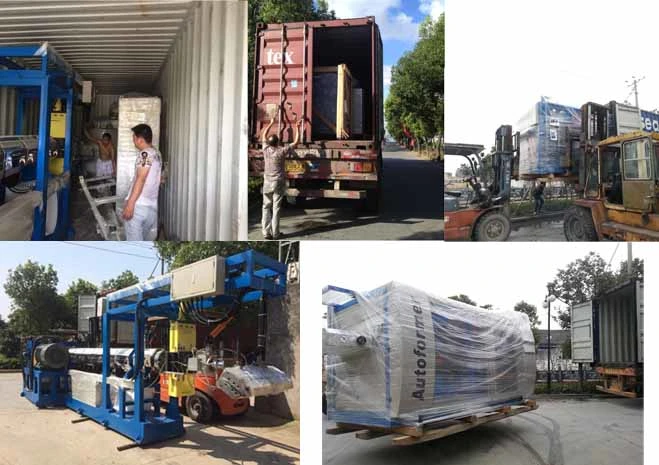 Plastic Egg Tray Container Box Forming Machine