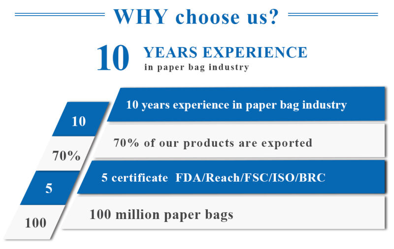 Concise Kraft Paper Bag Biodegradable Kraft Paper Shopping Bags