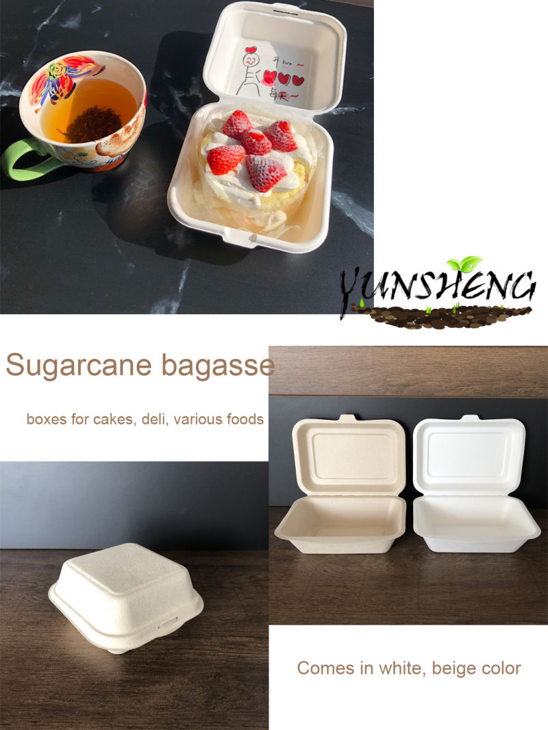 Bio Sugarcane Bagasse Togo Boxes for Food 1 Compartment