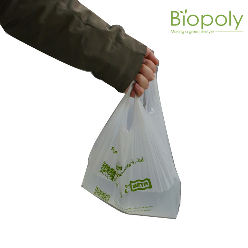 Custom Design Logo Printing Biodegradable Plastic Shopping Bag