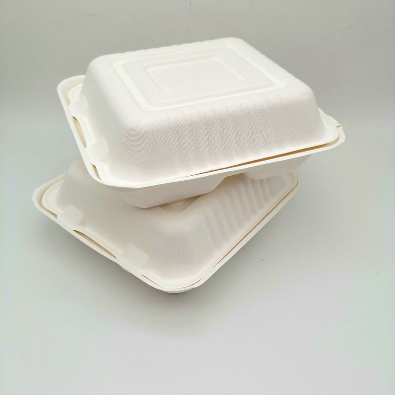 Hot Sale 600ml Sugarcane Bagasse Clamshell Box