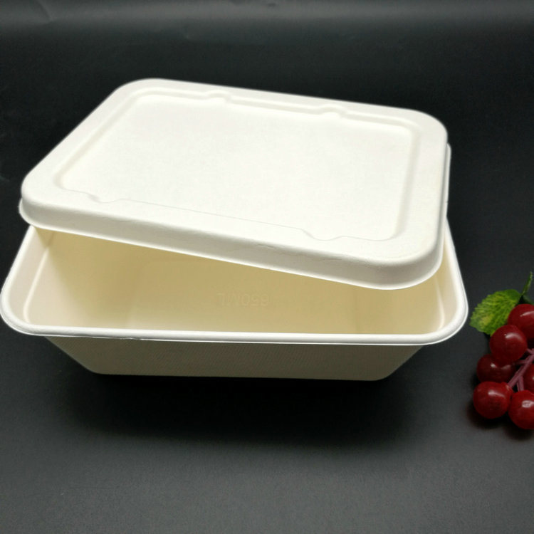 Wholesale Eco Friendly Biodegradable Sugarcane Pulp Sugarcane Fiber Bagasse Paper Lunch Box Disposable Food Containers with Lids