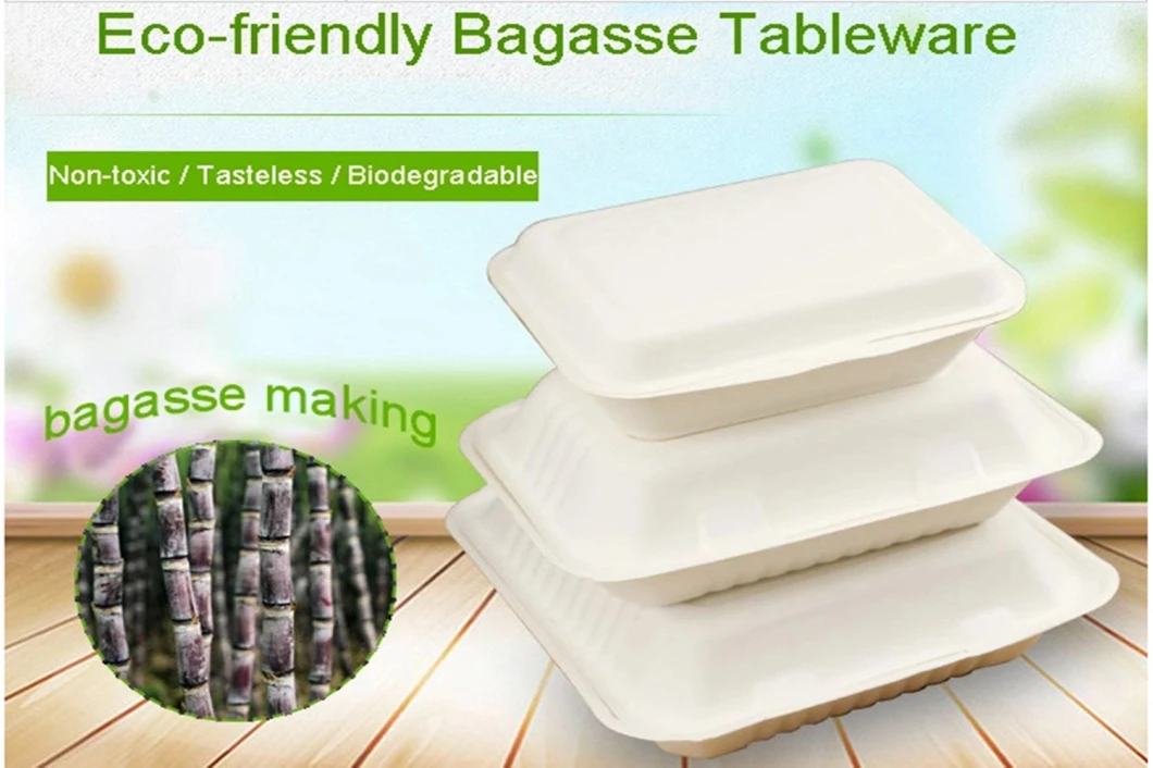 Disposable Sugarcane Pulp Lunch Box Biodegradable Bagasse Plate Food Container Bagasse Rectangular Tray