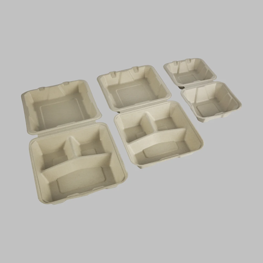 Bagasse Box Sugarcane Bagasse Food Container Biodegradable to Go Box Lunch Box