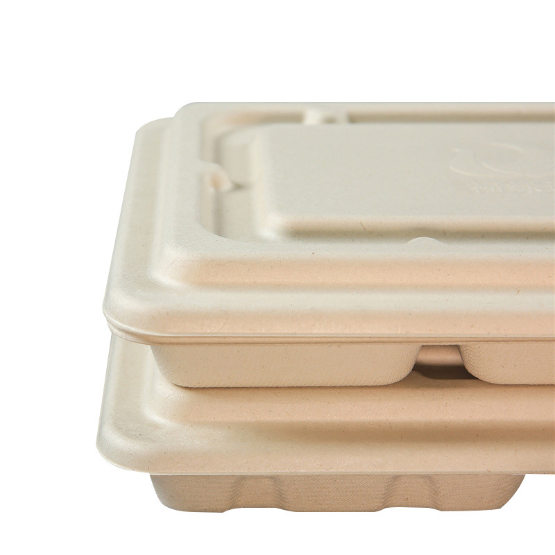 Biodegradable Eco Friendly Bagasse Sugarcane Disposable Trays