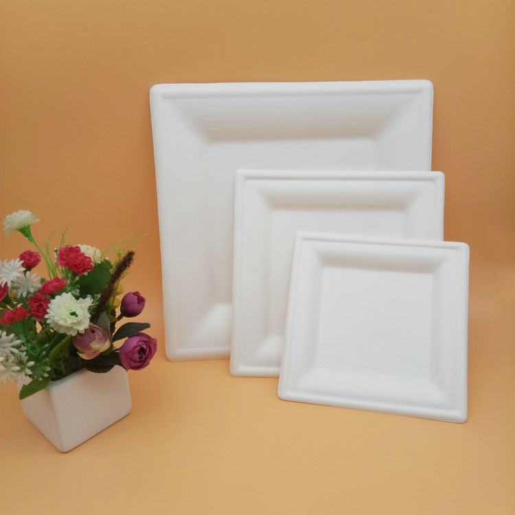 Sugarcane Bagasse Biodegradable Cake Square Plates for Cakes