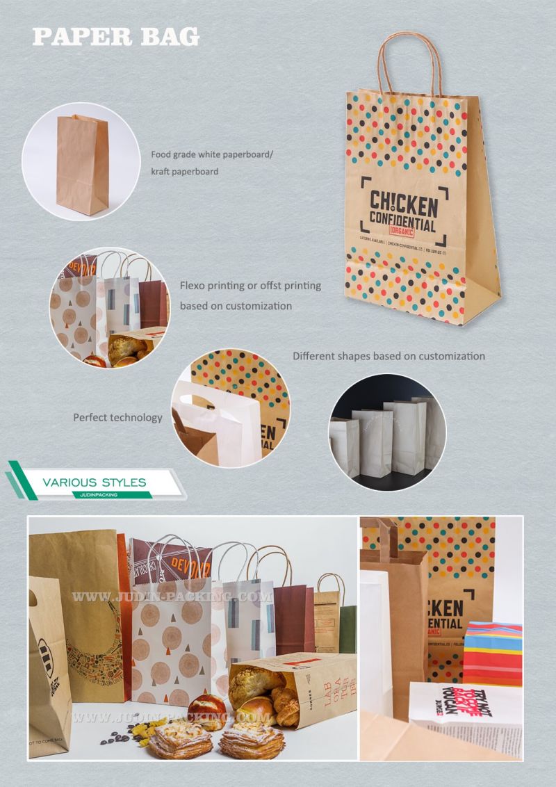 Hot Sale Custom Recycled Luxury Printed Craft Paper Bag