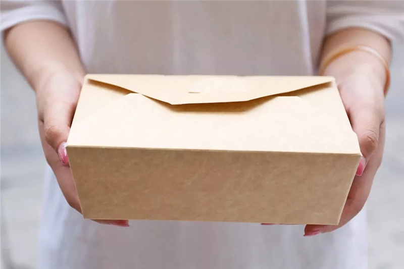 Square Paper Carton Boxes for Food Medium Size Food Package Salad Box Kraft Paper Boxes