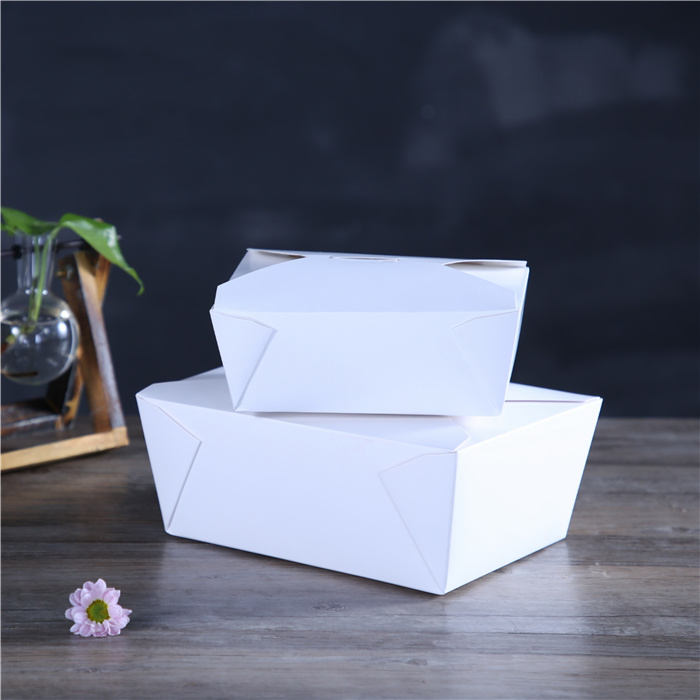 Sugarcane Bagasse Biodegradable 3 Compartment Lunch Boxes