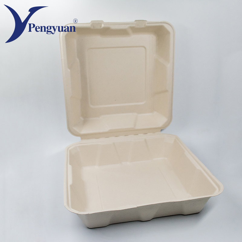 Biodegradable Food Packaging Box Sugarcane Container