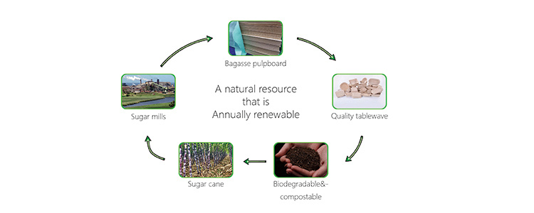 Sugarcane Bagasse Container Biodegradable Food Container