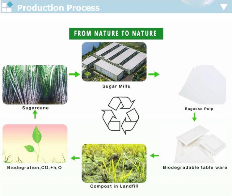 Sugar Cane Compostable Biodegradable Disposable Sugarcane Bagasse Paper Plates Bagasse Tableware
