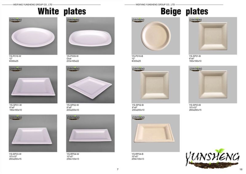 Biodegradable Disposable Paper Plate for Dinner or Cakes White Paper Plate or Brown Paper Plate