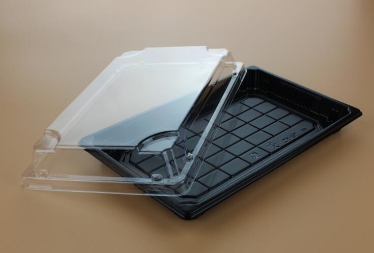 Wholesale Plastic Blister Food Tray Container for Sushi