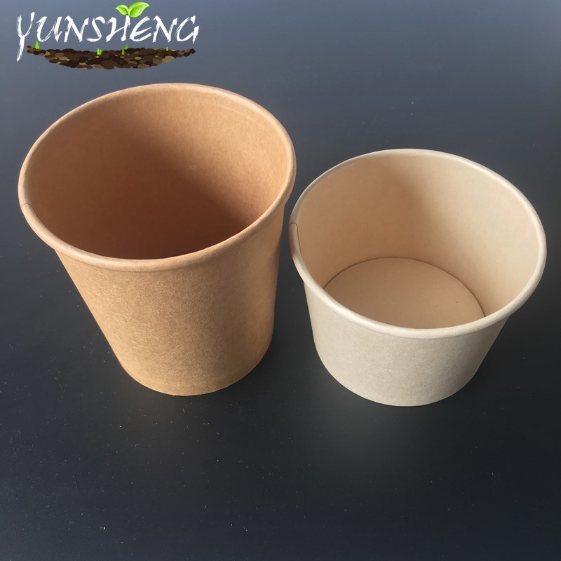 Compostable Disposable Takeaway Paper Soup Cup or Mug with Paper Lid