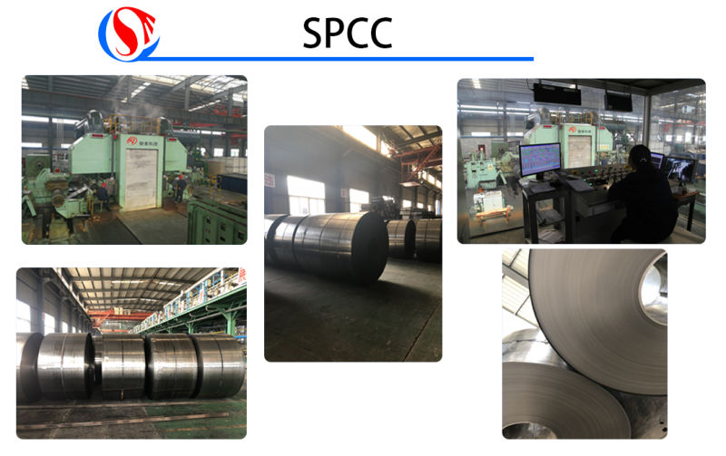 Galvanized Steel Coil Hot Dipped Galvanzied Steel Coil Steel Sheet