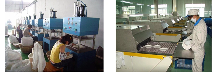 Sugarcane Container Disposable Packaging Bagasse Pulp Trays with Lid