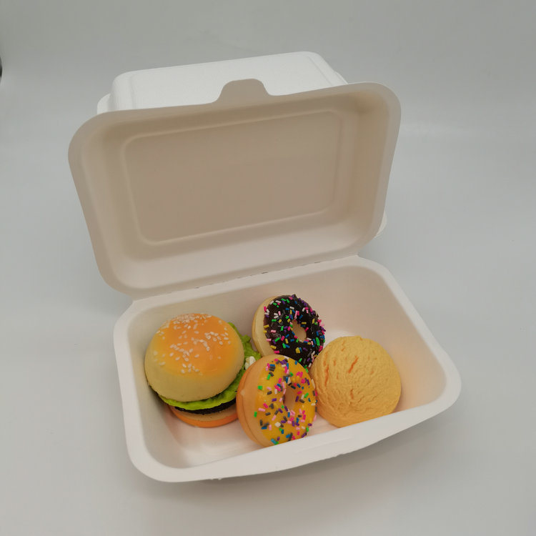 Hot Sale 600ml Sugarcane Bagasse Clamshell Box