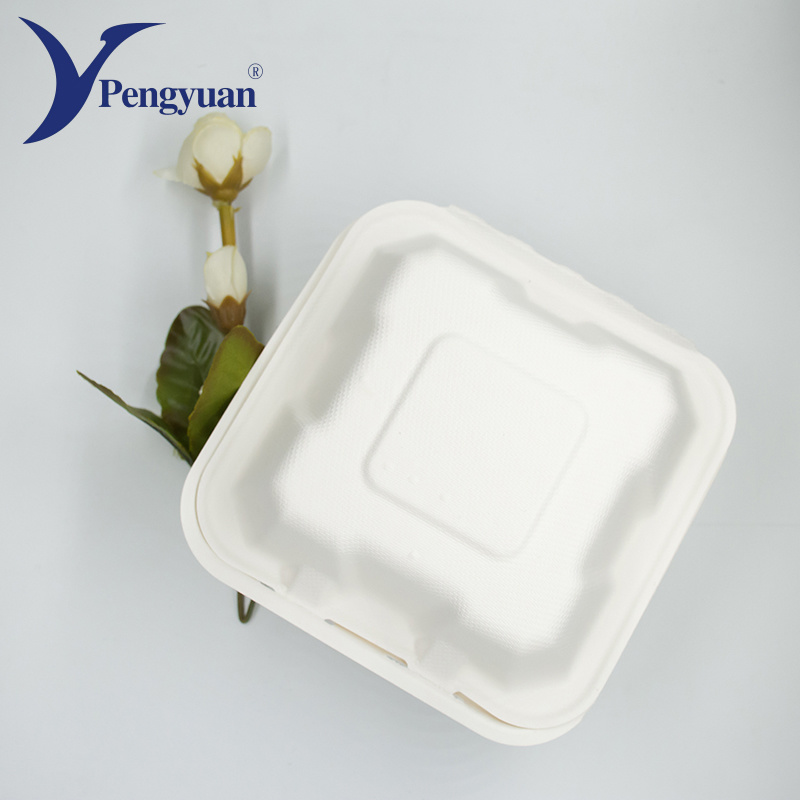 Sugarcane Bagasse Container Biodegradable Food Container