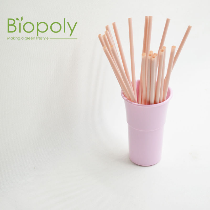 PLA Straw Biodegradable Composting Straw with Free Samples