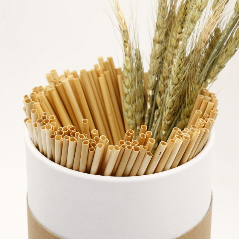 Environment Friendly Biodegradable Disposable Tableware Drinking Straws in Cutlery
