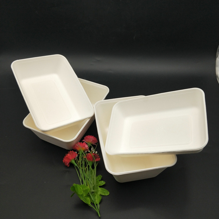 750ml Food Bagasse Tray Hot Sale Eco-Friendly Tray Bagasse with Food Material
