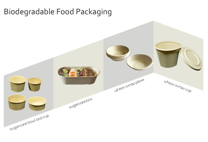 Disposable Tableware Paper Packaging Carton/Cardboard/Bento/Food/Biodegradable Compostable Sugarcane Bagasse Box
