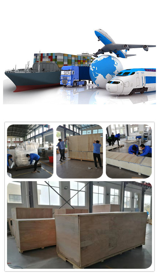 Qingdao Bostar Automatic Plastic Bag Sealing Machinery for Frozen Food/Mantou/Buns