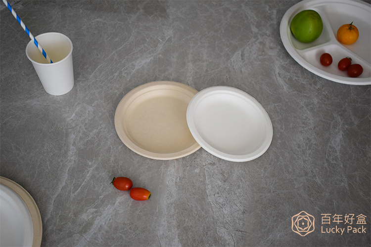 3 Compartment Compostable Biodegradable Tableware Sugarcane Bagasse Paper 10 Inch Plate