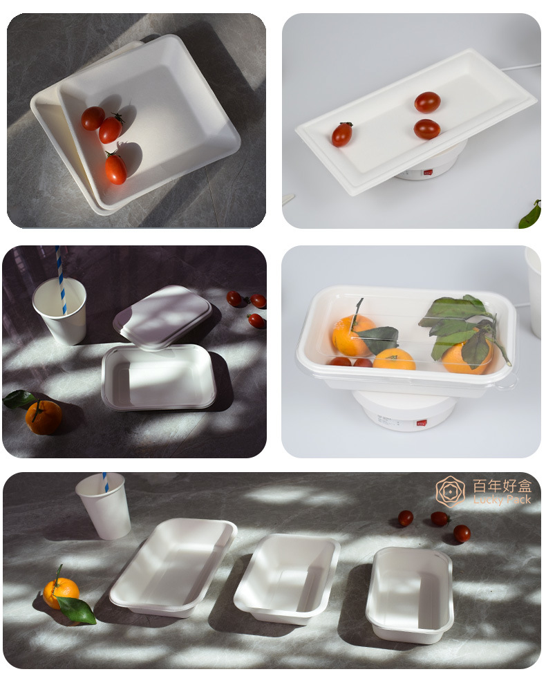 Compostable Sugarcane Bagasse Disposable Tray Biodegradable Tableware