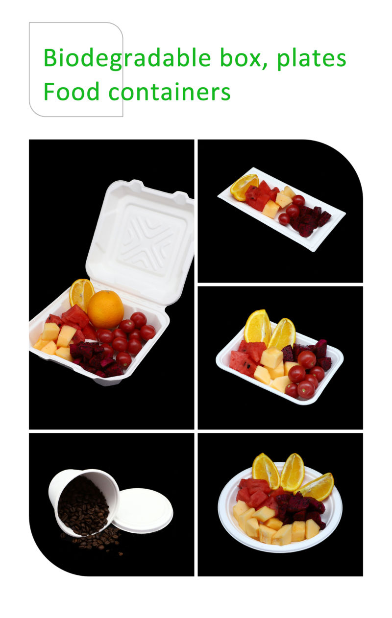 Biodegradable Takeaway Box for Food Salad Container Disposable Paper Box