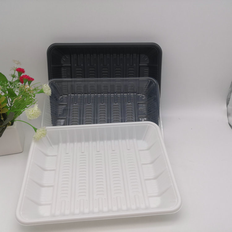 PLA Biodegradable Fruit and Vegetable Tray
