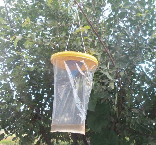 Hanging Plastic Bags Fly Bag Trap