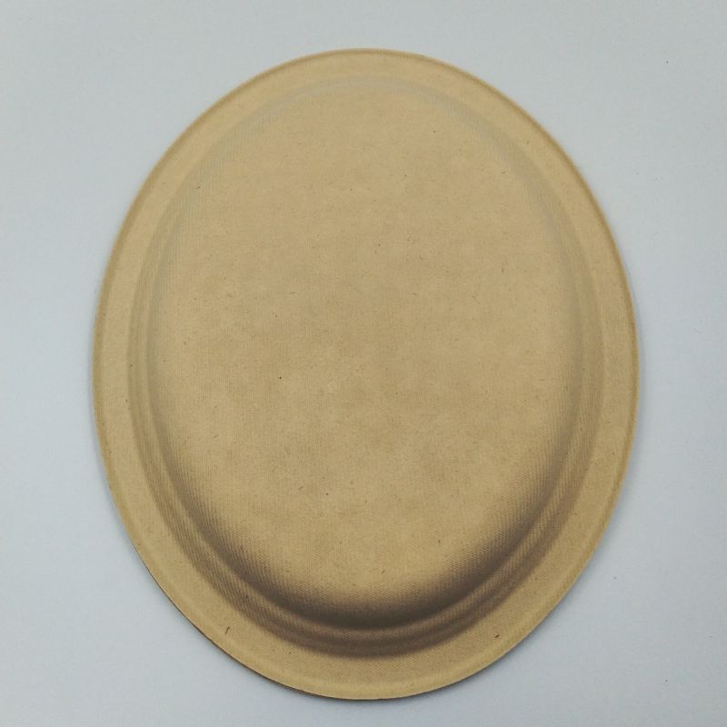 Disposable Plate Bagasse Sugarcane Throw Away Plates