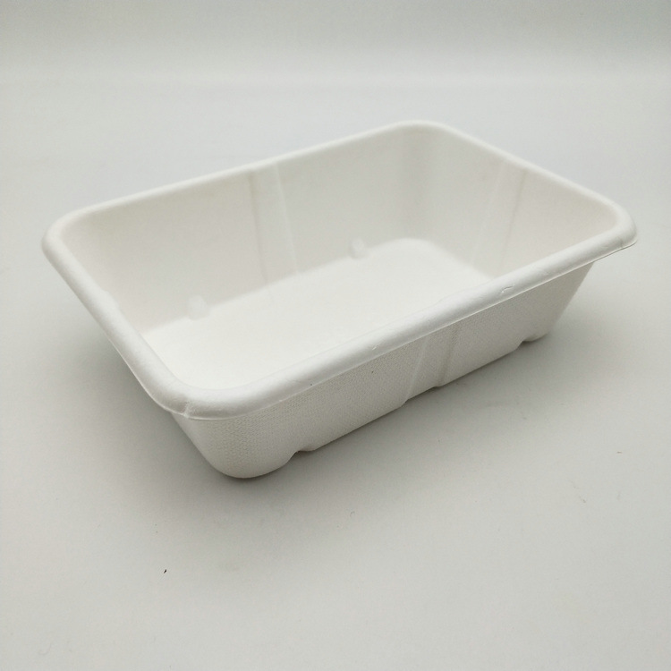 Biodegradable Food Sushi Container Sugarcane Plate Bagasse Trays with Lid