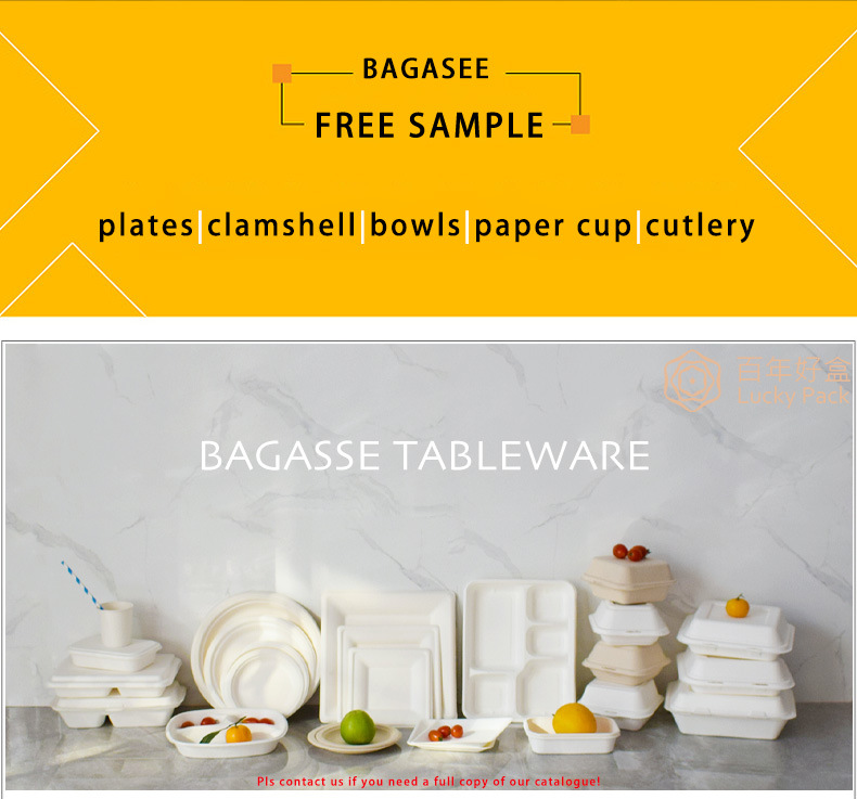 3 Compartment Compostable Biodegradable Tableware Sugarcane Bagasse Paper 10 Inch Plate