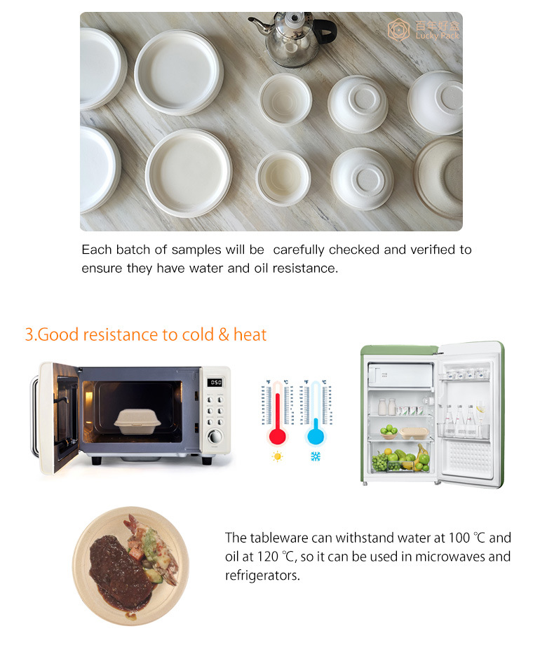 Compostable Sugarcane Bagasse Disposable Tray Biodegradable Tableware