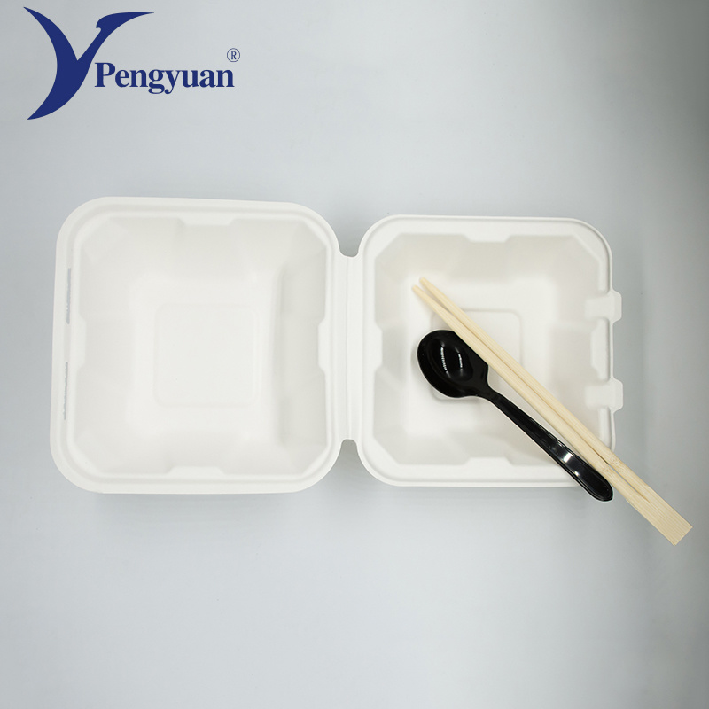 Biodegradable Sugar Cane Container Bento packaging Box