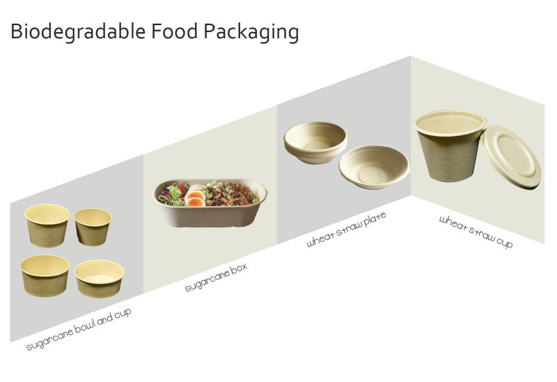 Compostable Biodegradable Sugarcane Bagasse Tray with Lid