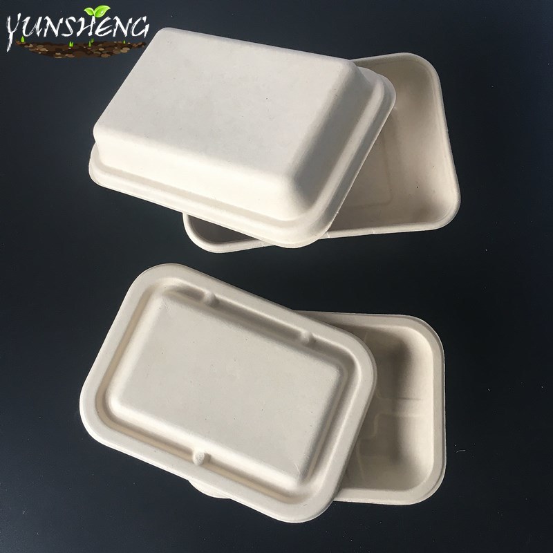 Disposable Food Paper Box for Dinner Which Made by Compostable Wheat Straw or Bamboo Pulp or Sugarcane Bagasse Pulp