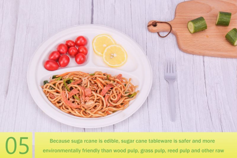Custom Logo Sugarcane Bagasse Plate