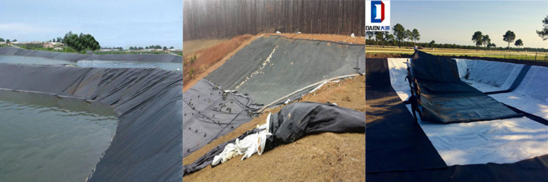 Plastic Dam Liner Geomembrane Fish Tankblack Roll of Plastic